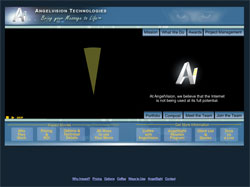 AngelVision Flash Website Portfolio Item